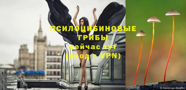 гидропоника Армянск