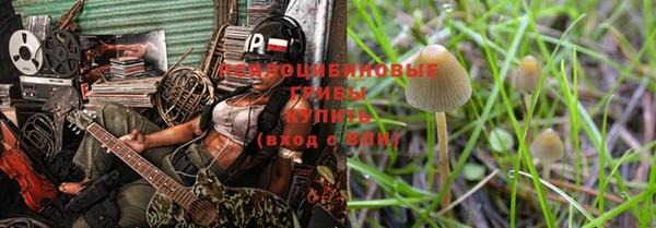 не бодяженный Арсеньев